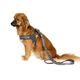 Max&Molly Q-Fit Harness Matrix 2.0 Stone - lekkie szelki step in dla psa, z identyfikatorem QR, szare