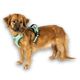 Max&Molly Sport Harness Matrix 2.0 Jade - szelki regulowane dla psa, z identyfikatorem QR, miętowe