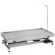Blovi VT12 Veterinary Table 120x60cm - Veterinary Treatment Table, Ultra-Low Height Adjustment, Stainless Steel