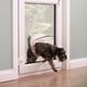 PetSafe Staywell Big Cat & Small Dog Flap Frosted - przezroczyste drzwiczki dla dużego kota i małego psa