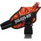 Julius-K9 Power & More Harness Pixeljuice - dog harness with an adaptive leash ring, orange pixels pattern