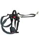 PetSafe CareLift Rear Support Harness - tylne szelki rehabilitacyjne dla psa, uprząż na biodra