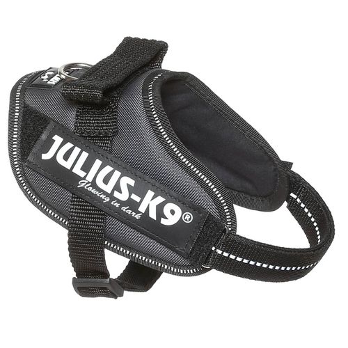 Julius-K9 IDC Powerharness Gray - najwyższej jakości szelki, uprząż dla psów w kolorze szarym