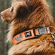 Hurtta Weekend Warrior Collar Neon Orange - wodoodporna obroża dla psa