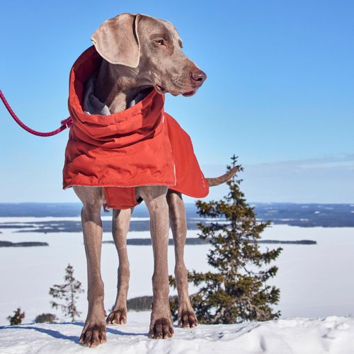 Hurtta Extreme Warmer III Eco Cinnamon - Waterproof Winter Dog
