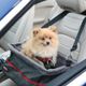 KONG Travel Secure Booster Seat - fotelik samochodowy dla psa do 12kg, siedzisko do auta, 40x30x20cm