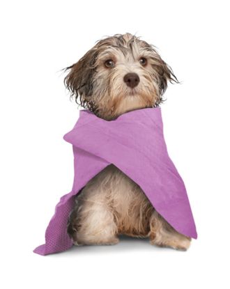Record Dry Dog Towel 66x43cm Purple - ręcznik chłodzący dla psa i kota, fioletowy