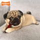 Nylabone Power Chew Basted Blast Bone 2szt. - twardy gryzak dla małego psa, dwusmakowa kość, bekon i stek, zestaw