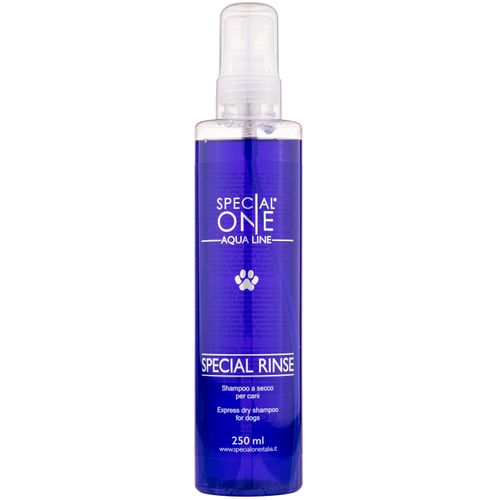 Special One Aqua Special Rinse 250ml - suchy szampon do delikatnego oczyszczania