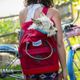 Kurgo Nomad Carrier Red - plecak dla małego psa i kota, czerwony