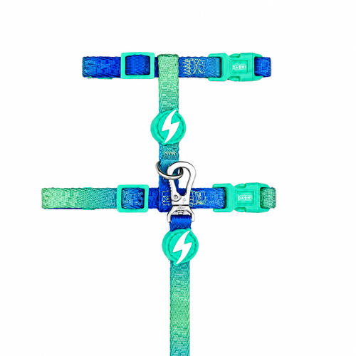 Dashi Lumix Borealis Cat Harness + Leash - szelki i smycz dla kota, zestaw, niebiesko-zielone