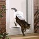 PetSafe Staywell Big Cat & Small Dog Flap Frosted - przezroczyste drzwiczki dla dużego kota i małego psa