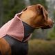 Polar Pomppa Mallow - Fleece Dog Coat, Pink