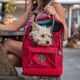 Kurgo Nomad Carrier Red - plecak dla małego psa i kota, czerwony