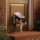 PetSafe Staywell Original 2-Way Pet Door White - drzwiczki dla psa i kota, klasyczne, białe