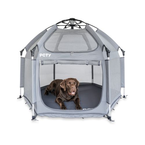 Pety Playpen Big - namiot dla psa na wystawę, zawody, plażę, camping, składany z matą i pokrowcem