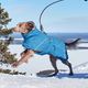 Hurtta Extreme Warmer III Eco Bilberry - wodoodporna kurtka zimowa dla psa zimowa, z podszewką utrzymującą ciepło