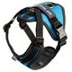 Julius-K9 IDC Longwalk Light Harness Aquamarine - lekkie szelki trekkingowe dla psa, z kieszonką na GPS, błękitne
