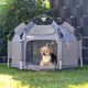 Pety Playpen Small - namiot dla małego psa na wystawę, zawody, plażę, camping, składany z matą i pokrowcem