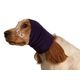 Show Tech Ear Buddy M - Headband for Shy Dog Drying, Purple