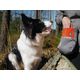 Hurtta Treat Pocket Eco Blackberry Mix - saszetka na smaczki dla psa, treningowa