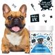 Bugalugs Wrinkle Cleansing Wipes 100pcs - Biodegradable Wrinkle Fold Cleaning Pads for Dogs & Cats