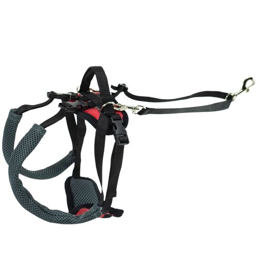 PetSafe CareLift Rear Support Harness - tylne szelki rehabilitacyjne dla psa, uprząż na biodra
