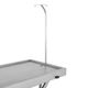 Blovi VT12 Veterinary Table 120x60cm - Veterinary Treatment Table, Ultra-Low Height Adjustment, Stainless Steel