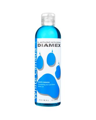 Diamex White Canada Shampoo - szampon do białej sierści kota, koncentrat 1:8 - 250ml