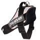 Julius-K9 IDC Powerharness Pretty - szelki dla psa, z odblaskami, kwiatowy wzór
