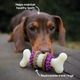 PetSafe Busy Buddy Bristle Bone - gryzak z przysmakiem dla psa, kość z wypustkami czyszczącymi zęby