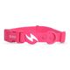 Dashi Colorflex Collar Pink - wodoodporna obroża dla psa, różowa