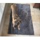 Holland Royal Dry Doormat - wygodne legowisko dla psa i kota ze specjalnej mikrofibry