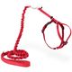 PetSafe Easy Walk Cat Harness Red - szelki i smycz bungee dla kota, czerwone