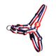 Dashi Stripes Red & Blue Front Harness - szelki norweskie dla psa, no-pull, paski czerwono-niebieskie