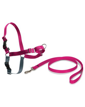 PetSafe Easy Walk Harness Raspberry Pink - szelki i smycz dla psa, zestaw różowy