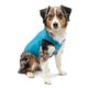 Kurgo Loft Jacket Blue/Orange - dwustronna kurtka wodoodporna dla psa, niebiesko-pomarańczowa