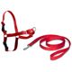 PetSafe Easy Walk Harness Red - szelki i smycz dla psa, zestaw czerwony