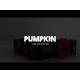 Dashi Pumpkin Collar - obroża dla psa, wzór w dynie Halloween