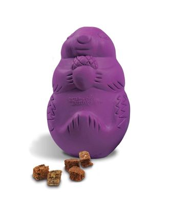 PetSafe Busy Buddy Squirrel Dude - gryzak na przysmaki dla psa, wiewiórka