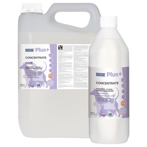 Disicide Plus+ Concentrate - koncentrat do dezynfekcji powierzchni i sprzętu