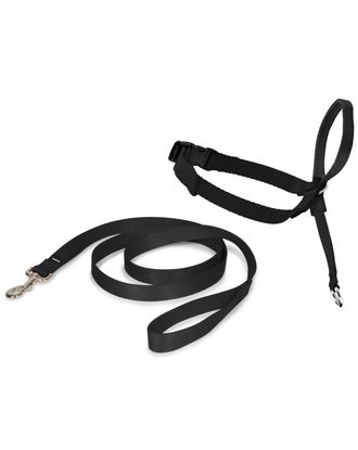 PetSafe Easy Walk Headcollar Black - kantar dla psa, obroża uzdowa i smycz