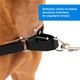 PetSafe Easy Walk Harness Black - szelki i smycz dla psa, zestaw czarny