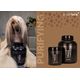 Show Tech+ Timaha Purifying Shampoo - Deep Cleansing Clay Shampoo for Dogs & Cats, Concentrate