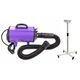 Blovi DoubleBlaster - Professional Smooth Airflow/ 2 Temperature Control Stand Pet Dryer, Purple