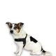 Max&Molly Q-Fit Harness Matrix 2.0 Black - lekkie szelki step in dla psa, z identyfikatorem QR, czarne