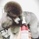 iGroom Magic Boost Scissoring Spray - Nourishing Styling Spray for Faster Drying and Added Volume, for Dogs & Cats