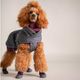 Hurtta Weekend Warrior Boots Eggplant - Protective Dog Boots, Waterproof - 2pcs