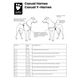 Hurtta Casual Y-Harness Cinnamon - szelki guard dla psów