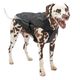 Kurgo North Country Coat Black  - kurtka przeciwdeszczowa dla psa, z lampką LED